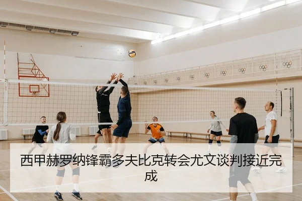 xi-jia-he-luo-na-feng-ba-duo-fu-bi-ke-zhuan-hui-you-wen-tan-pan-jie-jin-wan-cheng-2-734.jpg